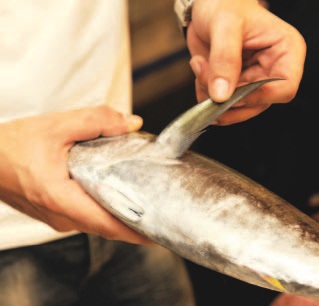 食材挑選、西班牙廚師、香料